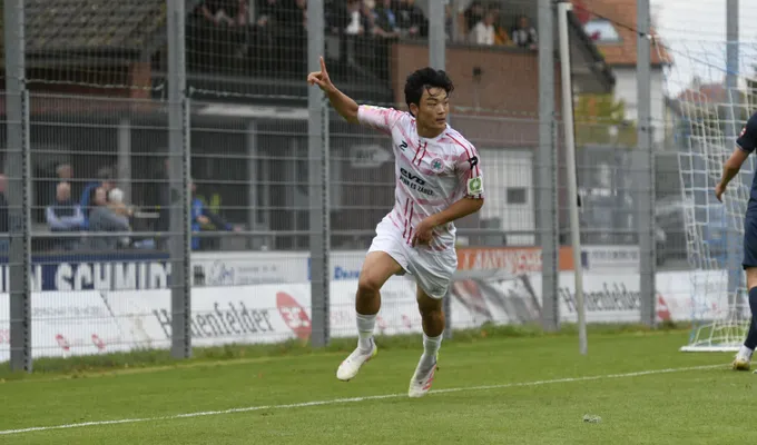 Effiziente Kleeblätter schlagen Wiedenbrück