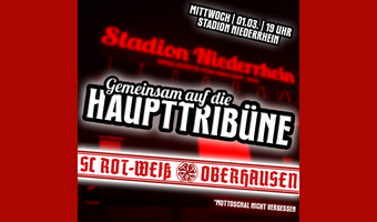 Gemeinsam auf die Haupttribüne im Viertelfinale