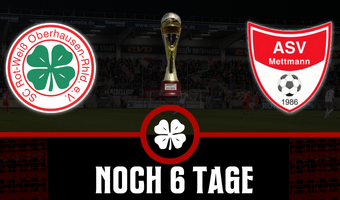 Die rot-weißen Amateurpokal-Erfolge