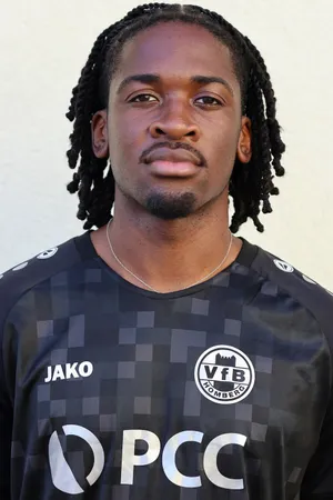 Johann Noubissi Noukumo