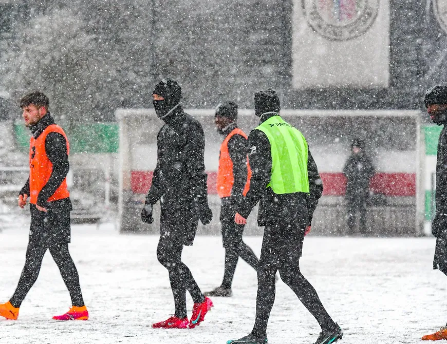 Kleeblätter testen in Osnabrück