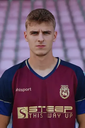Haris Mesic