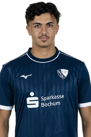 Jamil Najjar