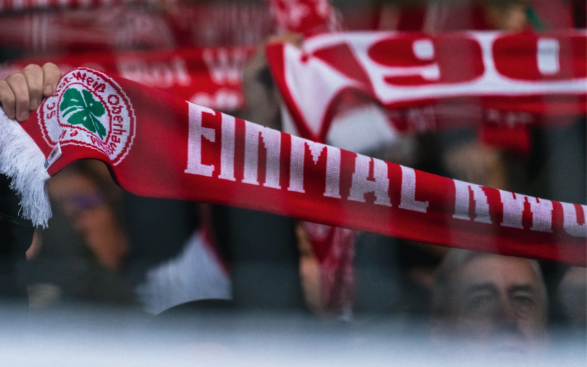 Exklusive Early-Bird-Phase noch bis Donnerstag