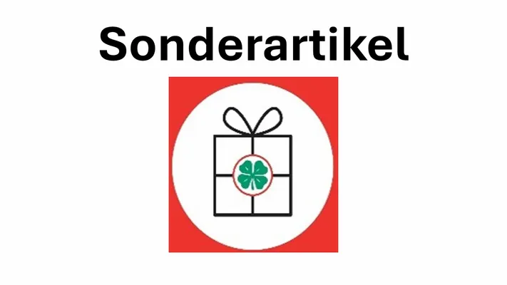 4_Sonder