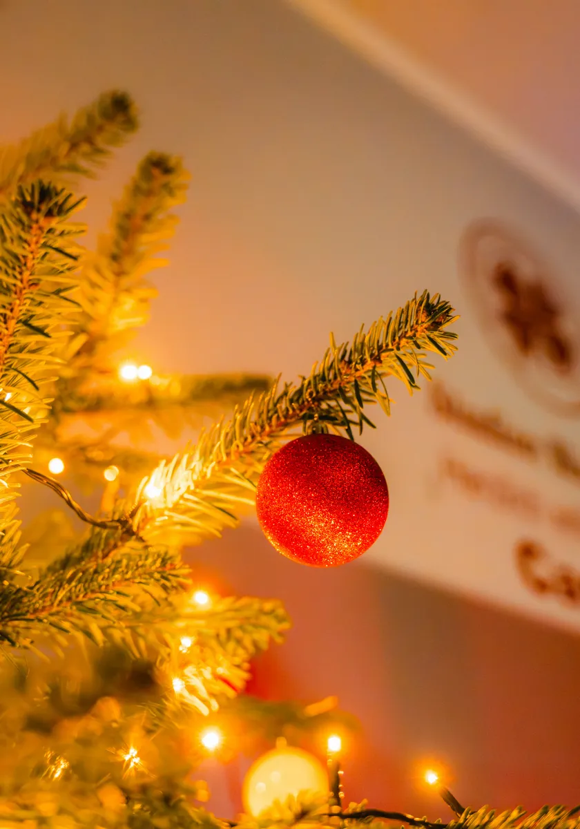 Einladung zum gemeinsamen evo/RWO-Weihnachtssingen