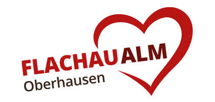 Flachau Alm