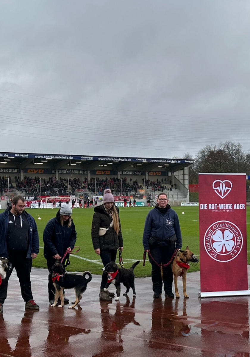 Tierheim Duisburg gastierte beim RWO-Heimspiel