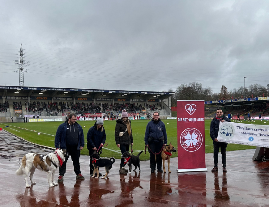 Tierheim Duisburg gastierte beim RWO-Heimspiel